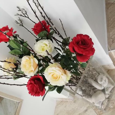 Studio Rose Pula Bagian luar foto