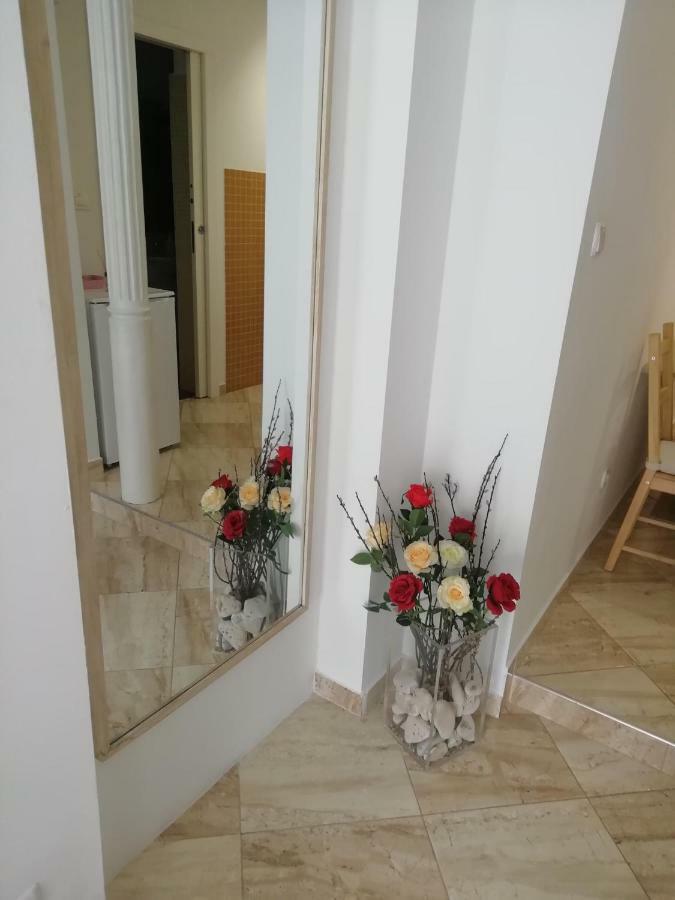 Studio Rose Pula Bagian luar foto